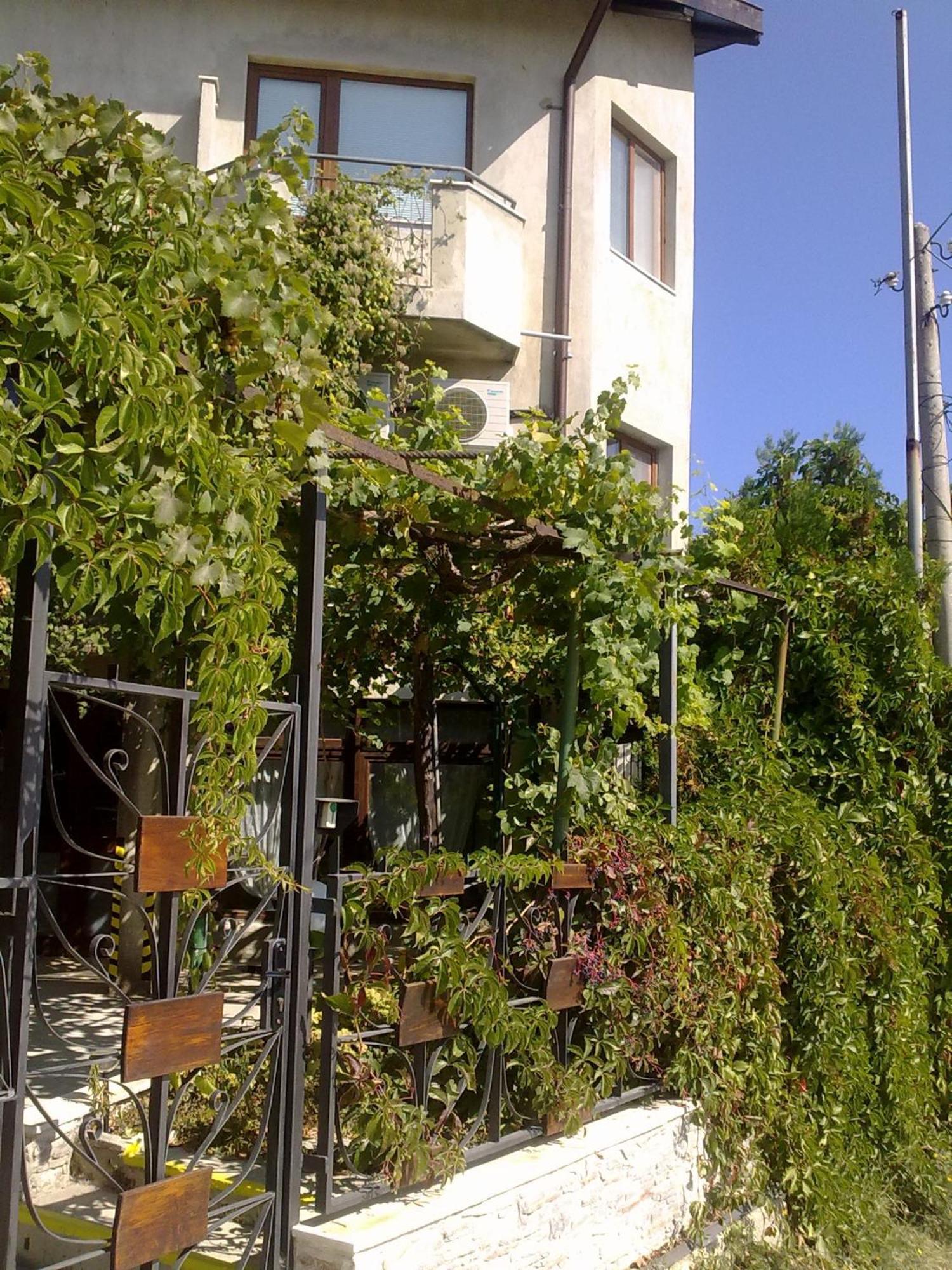 Villa Elfi Golden Sands Exterior photo